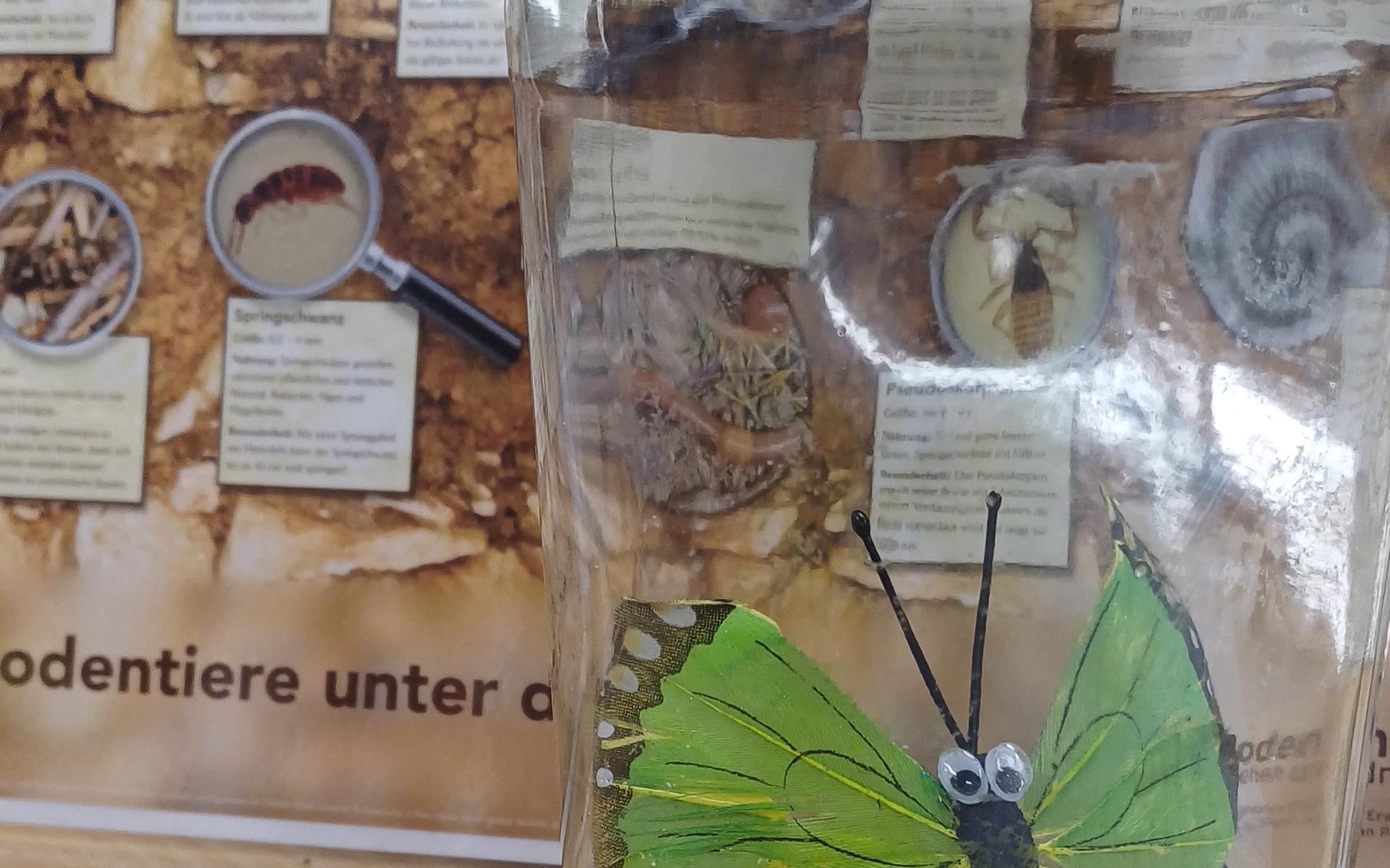 Vorbereitungstreffen